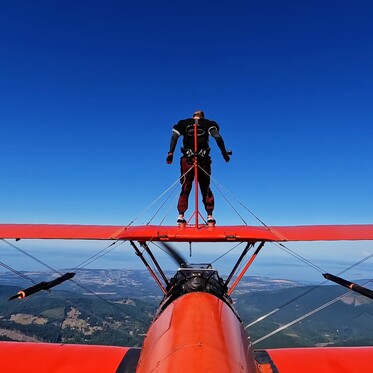 Stock Video Cover_373w 4cc9f351f99112ffd23a